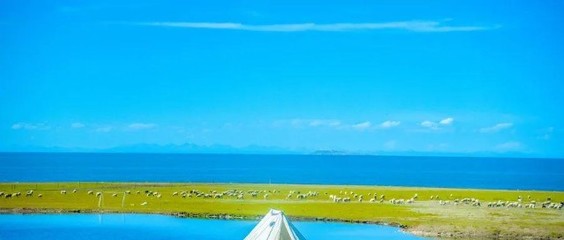 露营热浪袭来 旅行社转型的机遇与挑战