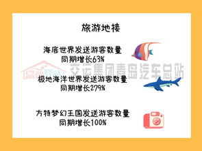 旅游业务为汽车总站暑运增添新活力